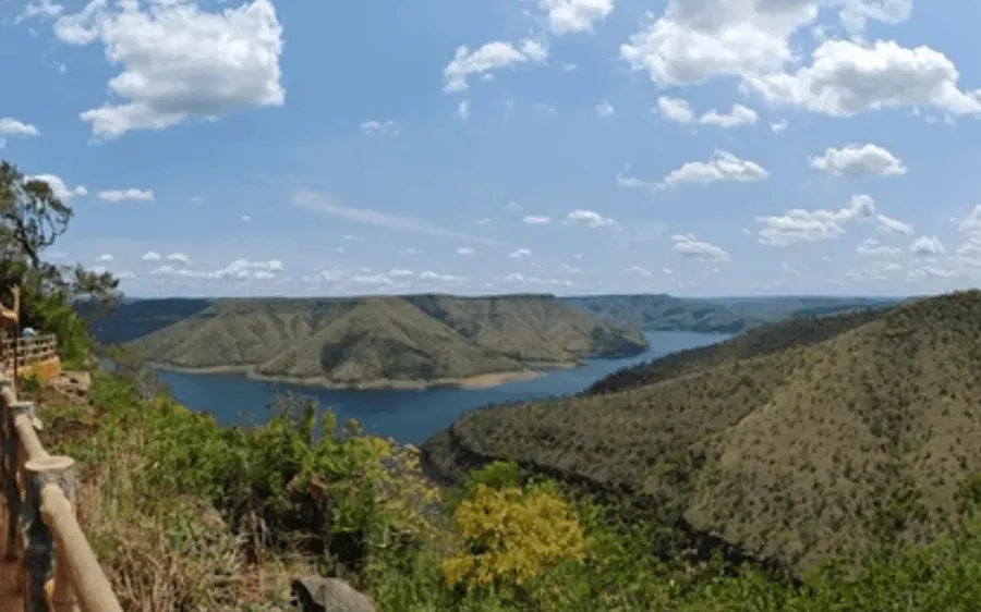 Octopus view point